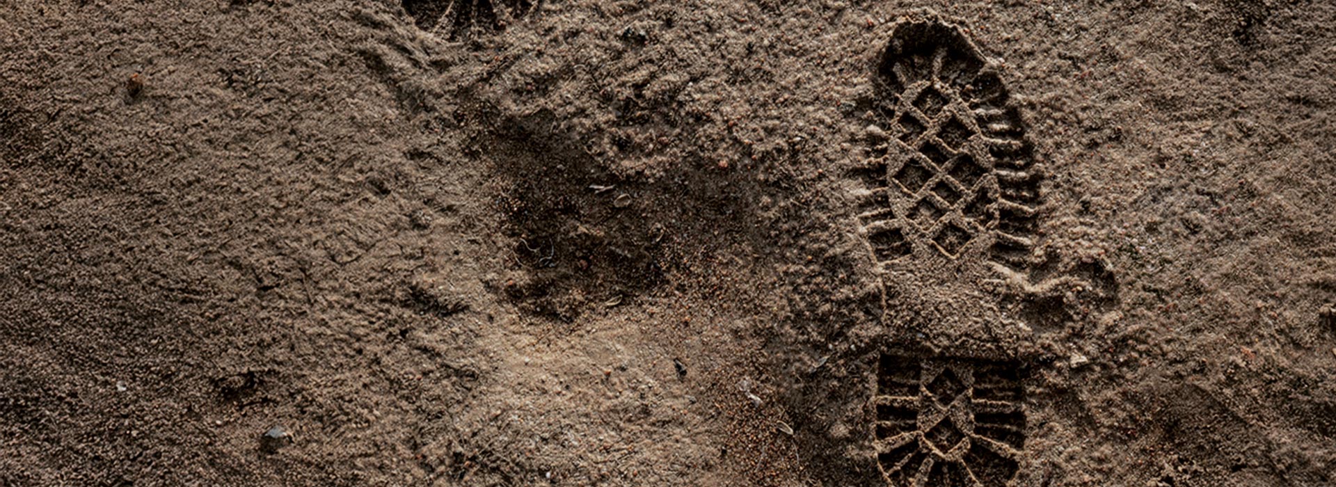 A work boot footprint in dirt